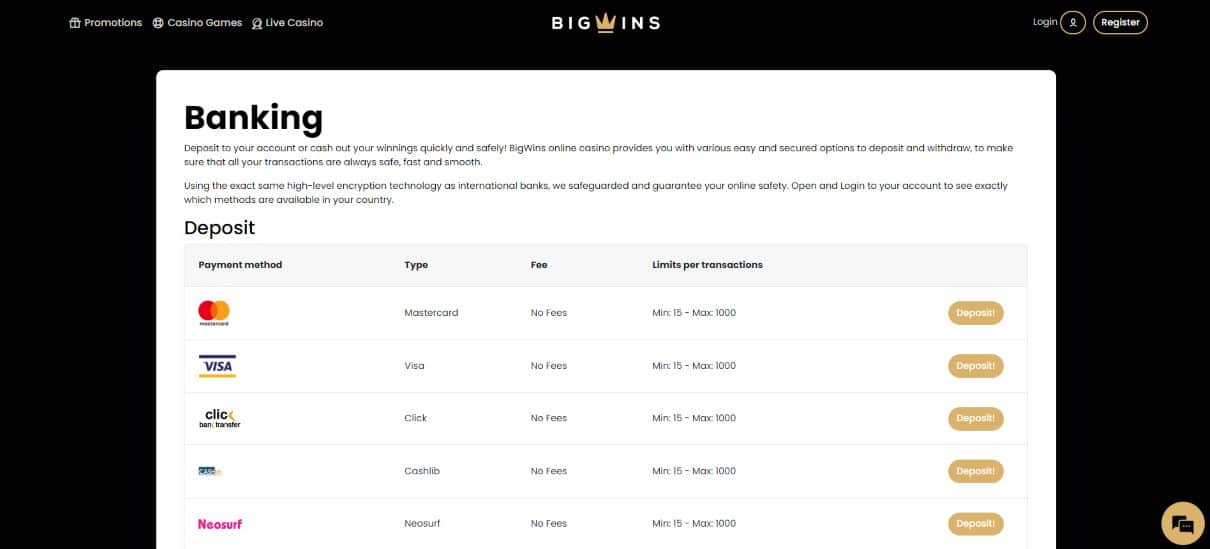 BigWins Payment Methods