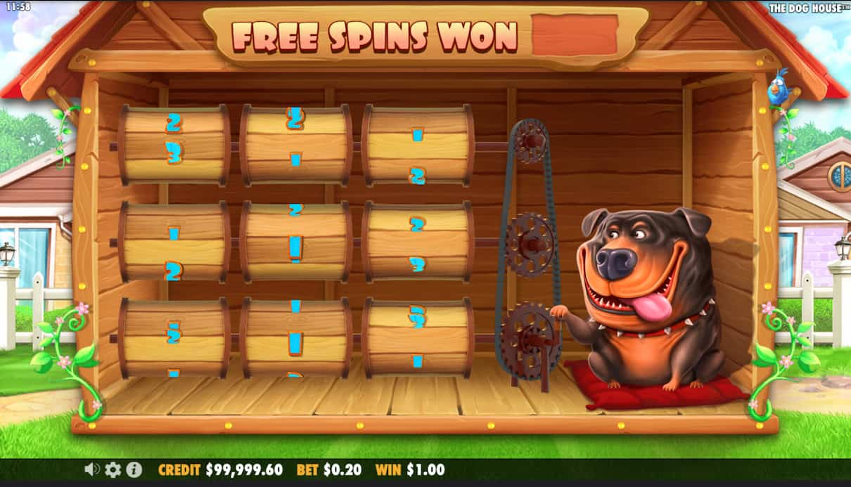 Free Spins